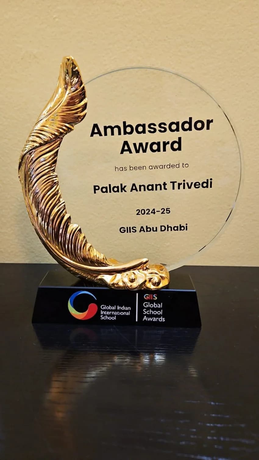 Ambassador Award 2024–25